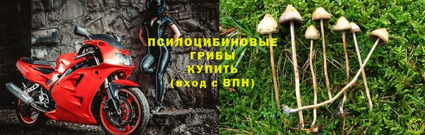герыч Алзамай