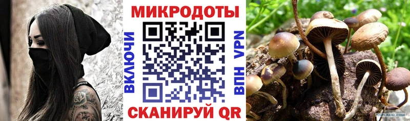Галлюциногенные грибы Psilocybe Котельники